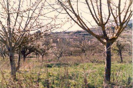 Fotografía 65