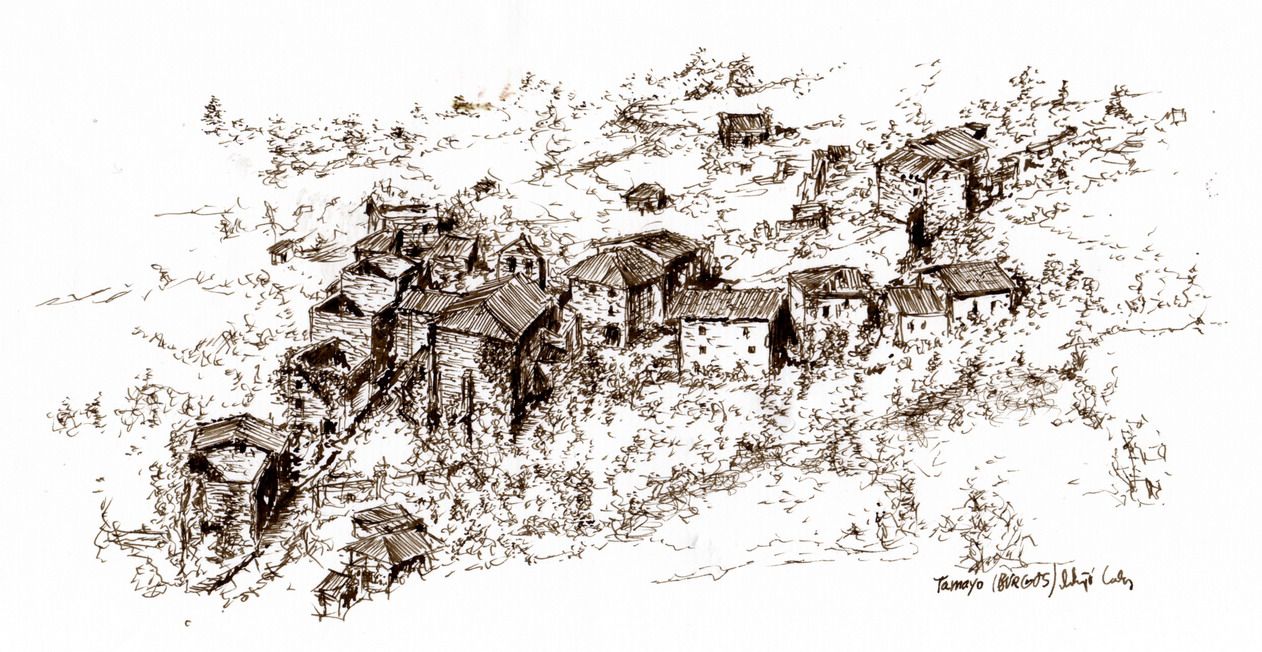 Dibujo de Tamayo