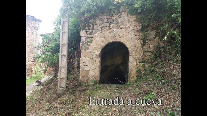 Tamayo trabajos