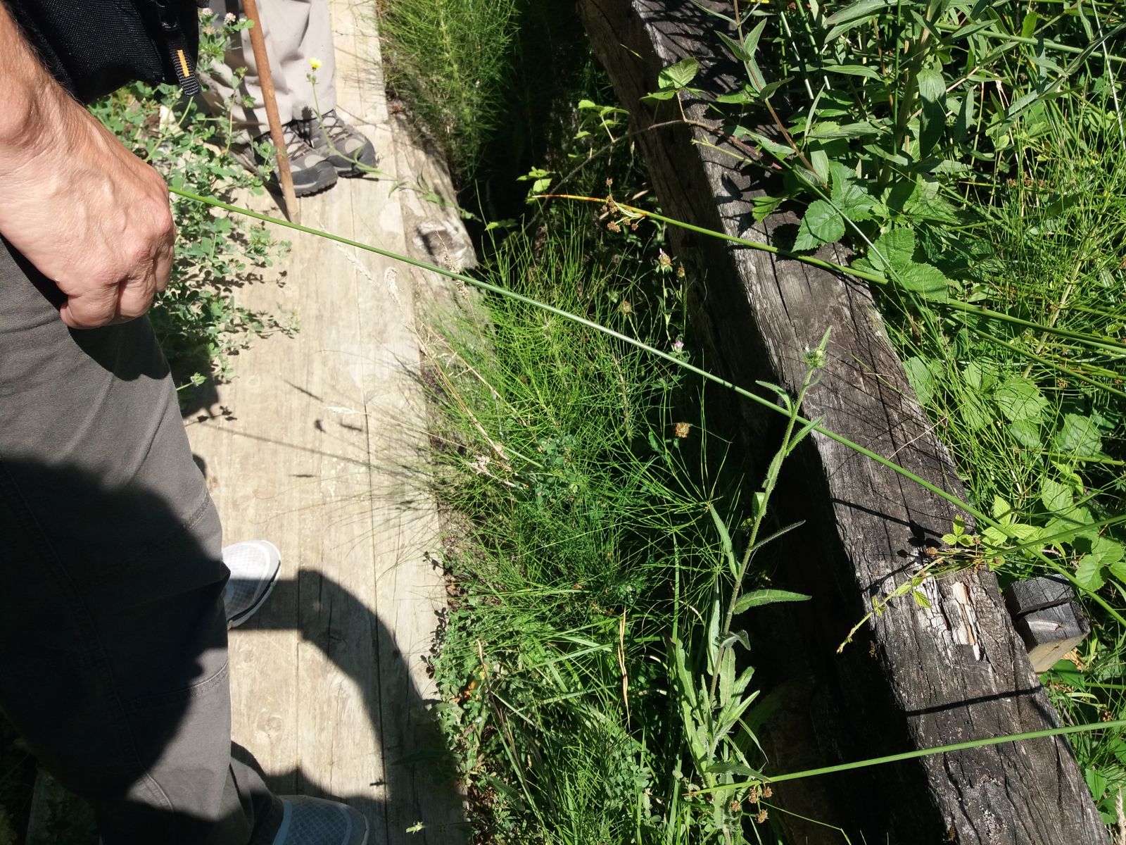Imagen 1 de «Arroyo de San Vitores»