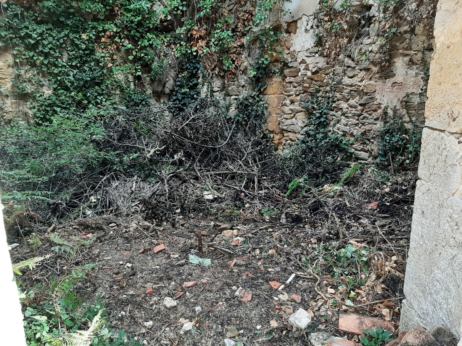 Concejo1