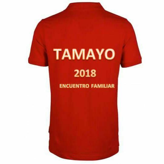 Mexico reunion Camiseta3