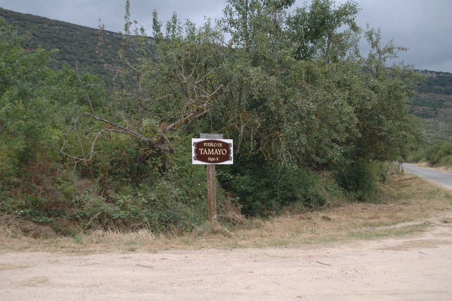 Letrero de Tamayo