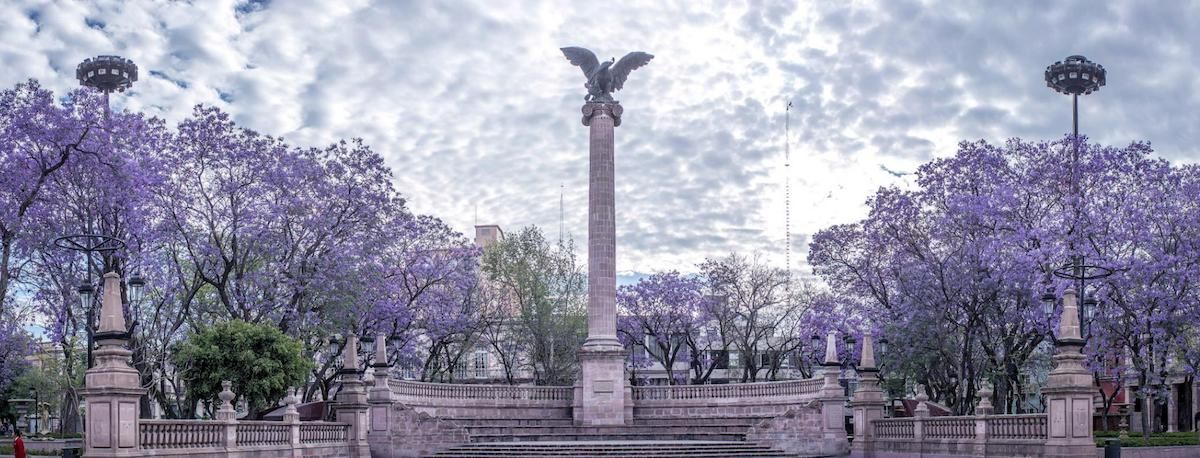 Tamayo reunionAguascalientes