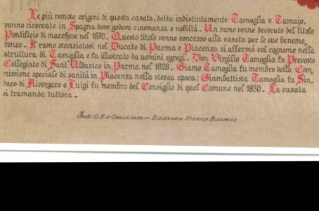 Tamoglia Doc 2